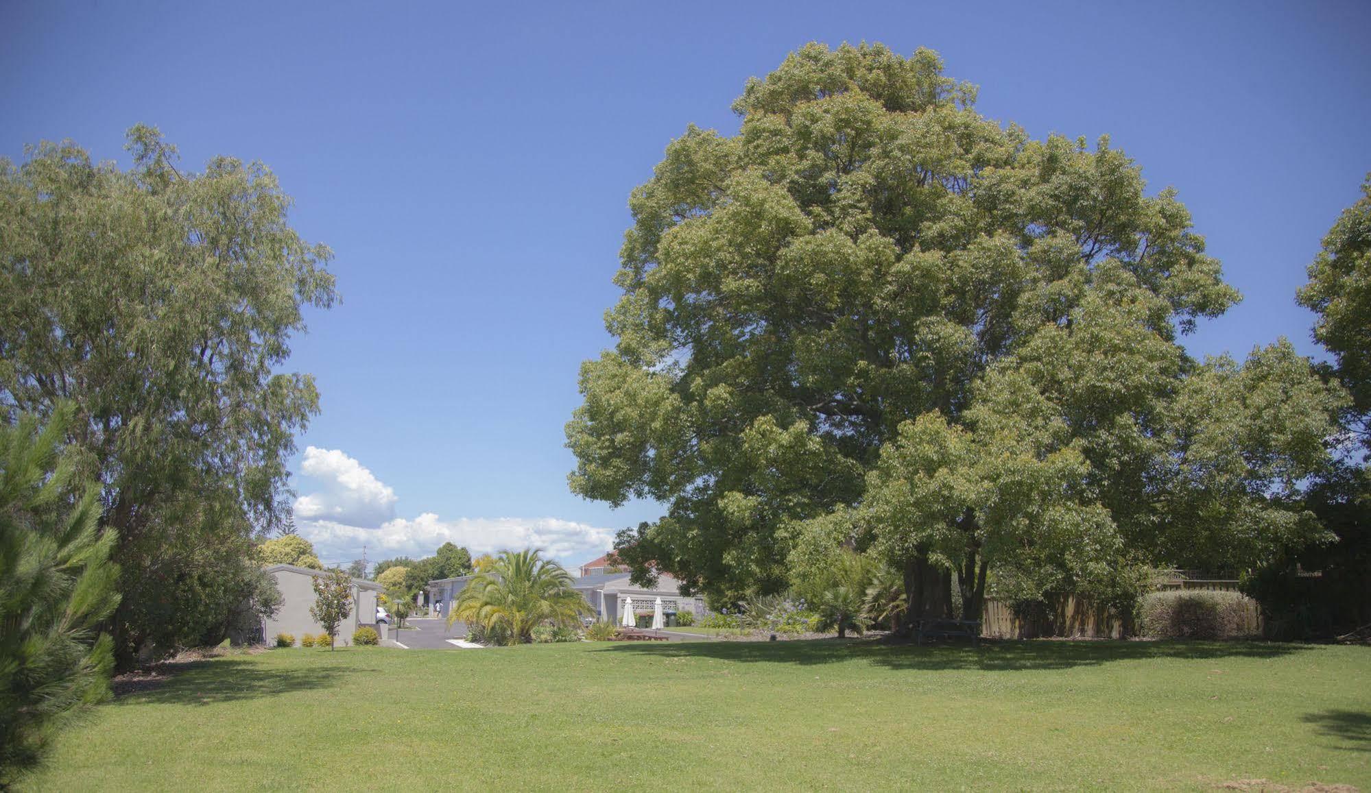 Sylvia Park Motel Auckland Dış mekan fotoğraf